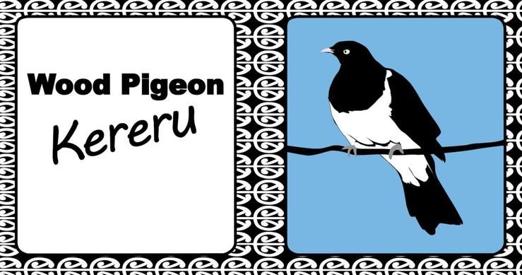 Aotearoa New Zealand - Image 2